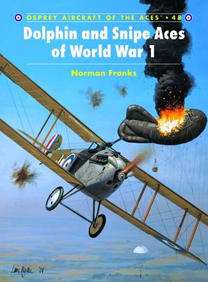 Book cover for Dolphin and Snipe Aces of World War 1