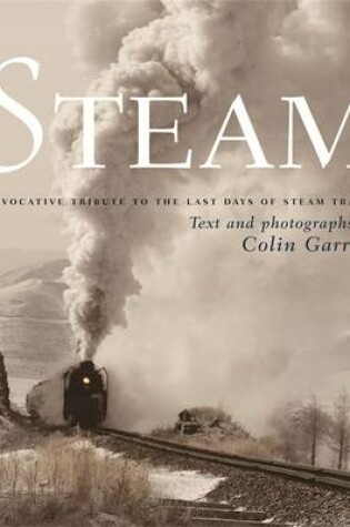 Cover of Steam