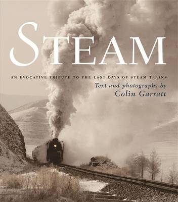 Book cover for Steam