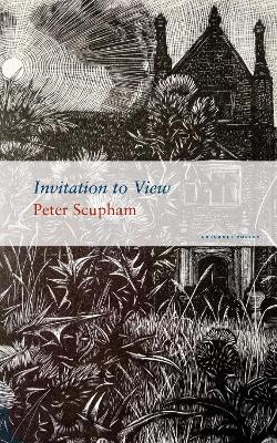 Book cover for Invitation to View