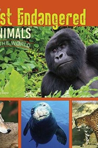 Cover of All About Animals Most Endangered Animals in the World