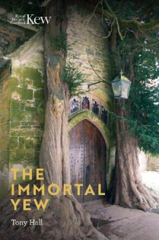 Cover of Immortal Yew, The