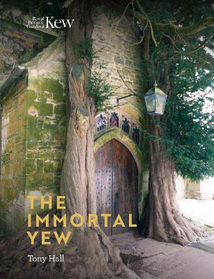 Book cover for Immortal Yew, The
