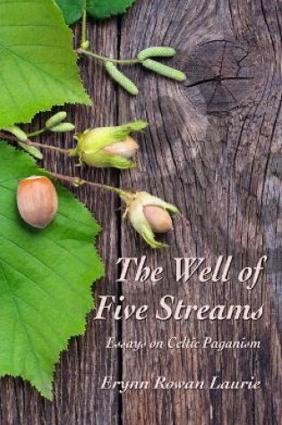 Cover of The Well of Five Streams