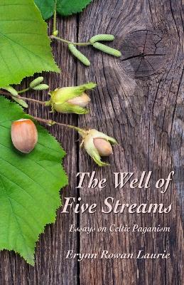 Book cover for The Well of Five Streams