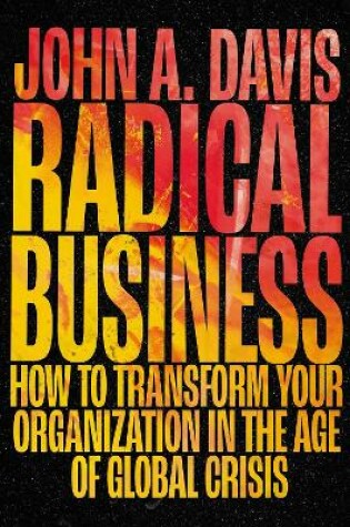 Cover of Radical Business