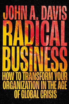 Book cover for Radical Business