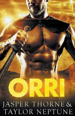 Book cover for Orri