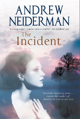 Book cover for The Incident
