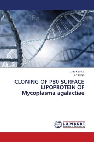 Cover of CLONING OF P80 SURFACE LIPOPROTEIN OF Mycoplasma agalactiae