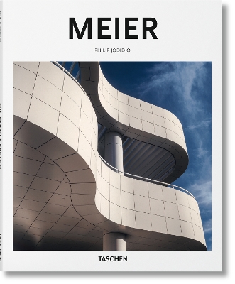 Book cover for Meier