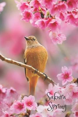Book cover for Sakura Spring