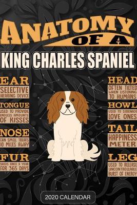 Book cover for Anatomy Of A King Charles Spaniel