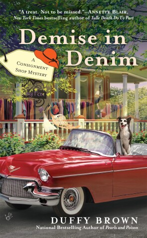 Book cover for Demise in Denim