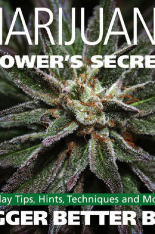 Cover of Marijuana Grower's Secrets
