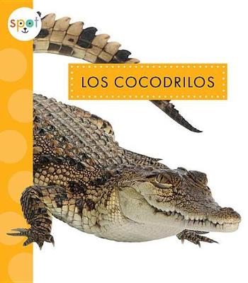Book cover for Los Cocodrilos