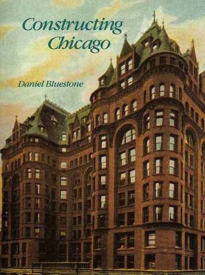 Book cover for Constructing Chicago