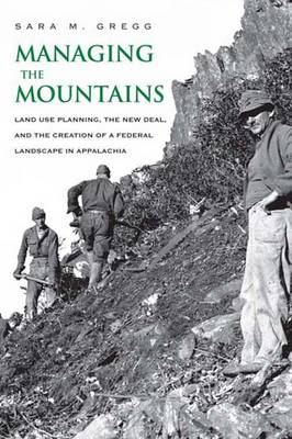 Book cover for Managing the Mountains