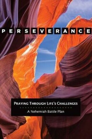 Cover of Perseverance