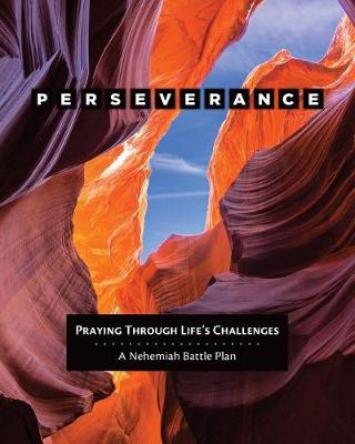 Book cover for Perseverance