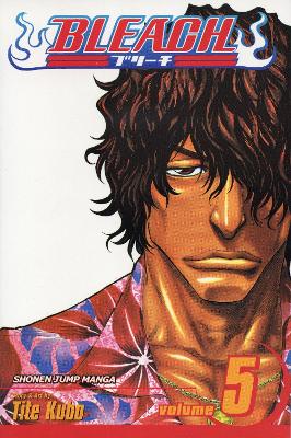 Cover of Bleach, Vol. 5