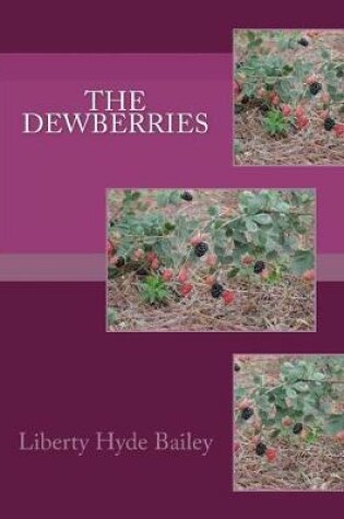 Cover of The Dewberries