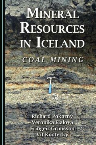 Cover of Mineral Resources in Iceland
