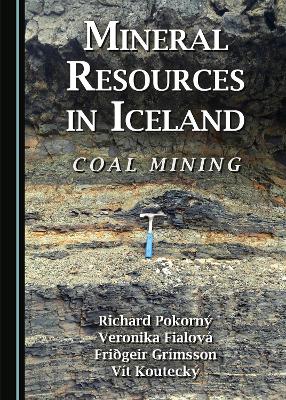 Book cover for Mineral Resources in Iceland