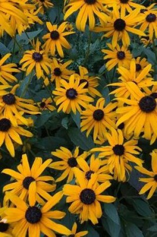 Cover of Field of Blooming Black-Eyed Susan Flowers Journal