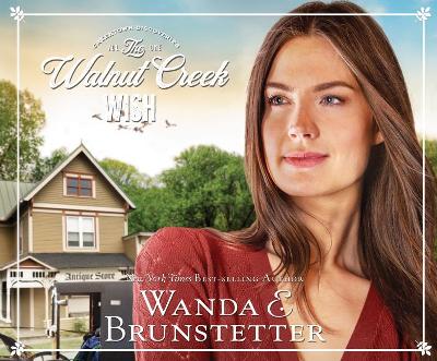 Book cover for The Walnut Creek Wish