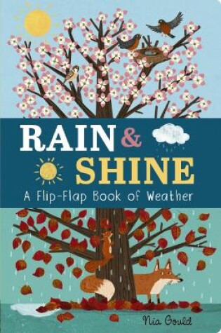 Cover of Rain & Shine: A Flip-Flap Book of Weather