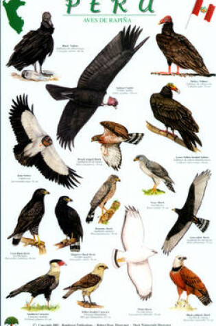 Cover of Peru Raptors Bird Guide