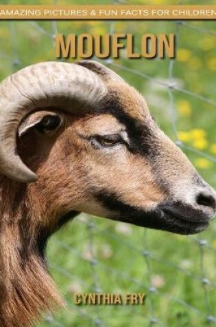 Cover of Mouflon