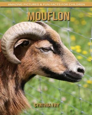 Book cover for Mouflon