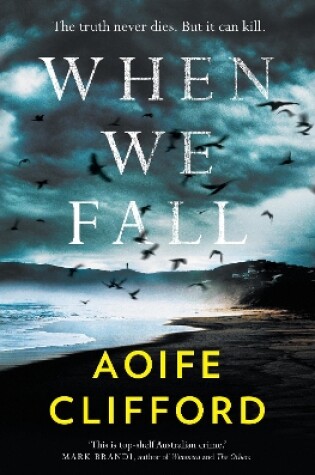 Cover of When We Fall