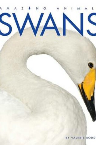 Cover of Swans