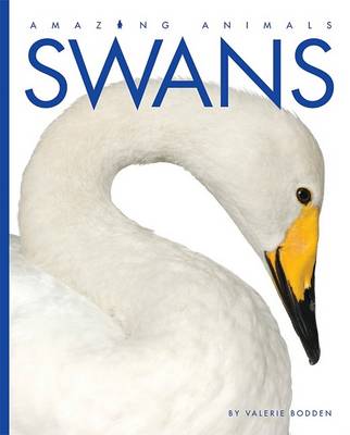 Book cover for Swans