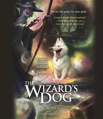 Book cover for The Wizard's Dog