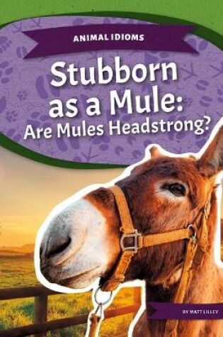 Cover of Stubborn as a Mule: Are Mules Headstrong?
