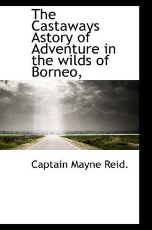 Cover of The Castaways Astory of Adventure in the Wilds of Borneo,