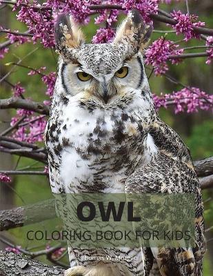 Book cover for Owl Coloring Book for Kids