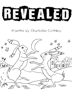 Book cover for Revealed