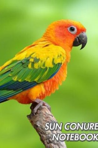 Cover of Sun Conure Notebook