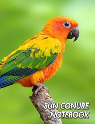 Book cover for Sun Conure Notebook