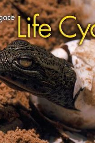 Cover of Life Cycles