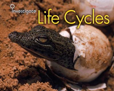 Cover of Life Cycles