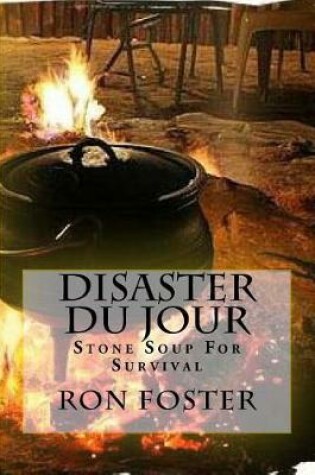 Cover of Disaster Du Jour