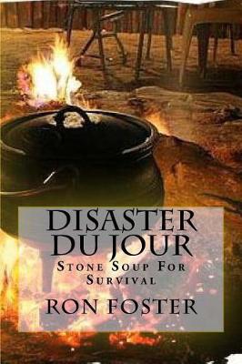 Book cover for Disaster Du Jour