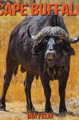 Cover of Cape Buffalo