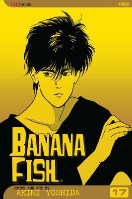 Book cover for Banana Fish, Vol. 17